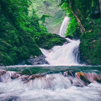 升龙界内购破解版下载