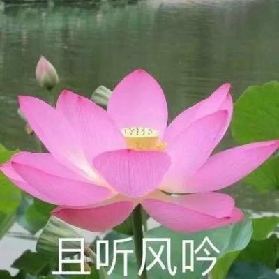 乱舞x三国官方版下载