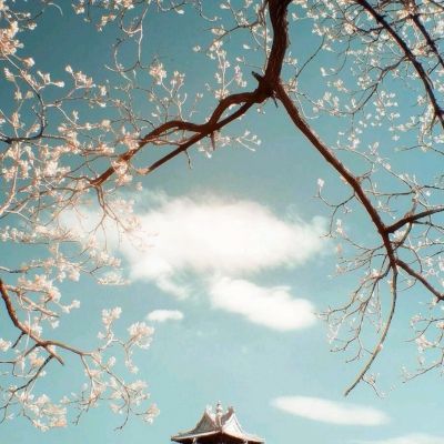 九游中土纪元官方下载